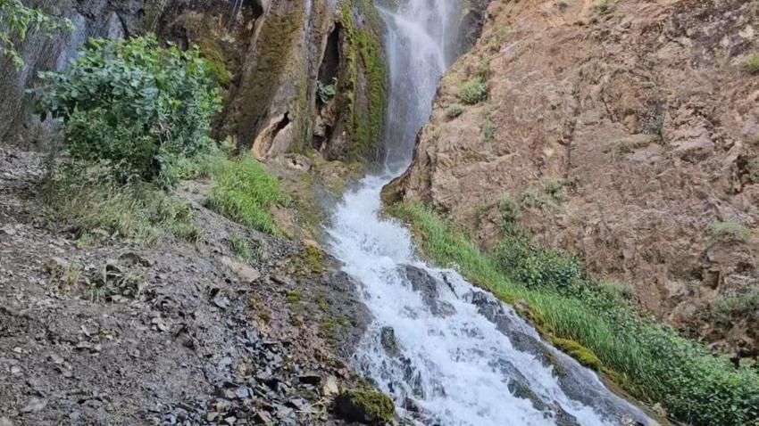 Hakkari'nin yeni gözdesi: Ava Ore görenleri mest ediyor