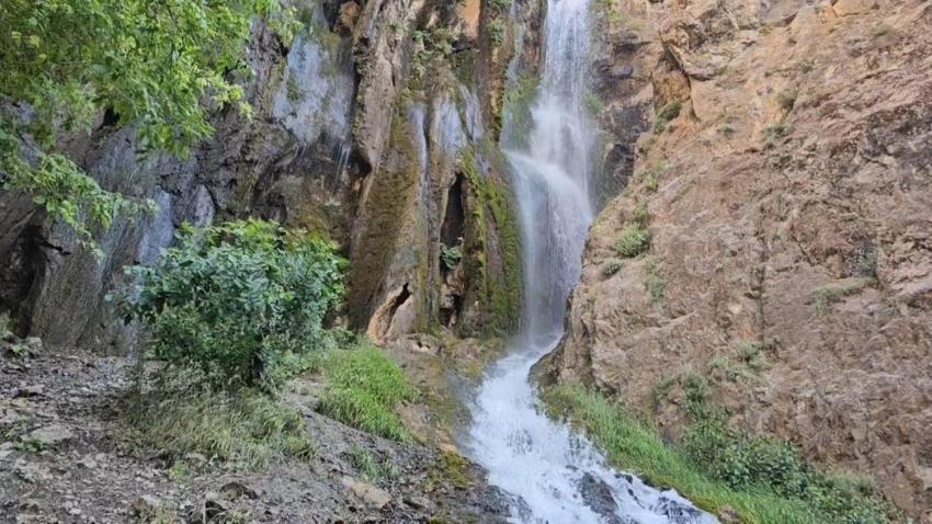 Hakkari'nin yeni gözdesi: Ava Ore görenleri mest ediyor