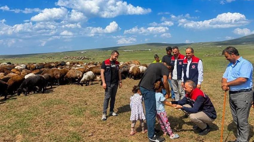 10 bin hayvan için seferberlik ilan edildi: Veteriner hekimler zirvede nöbette!