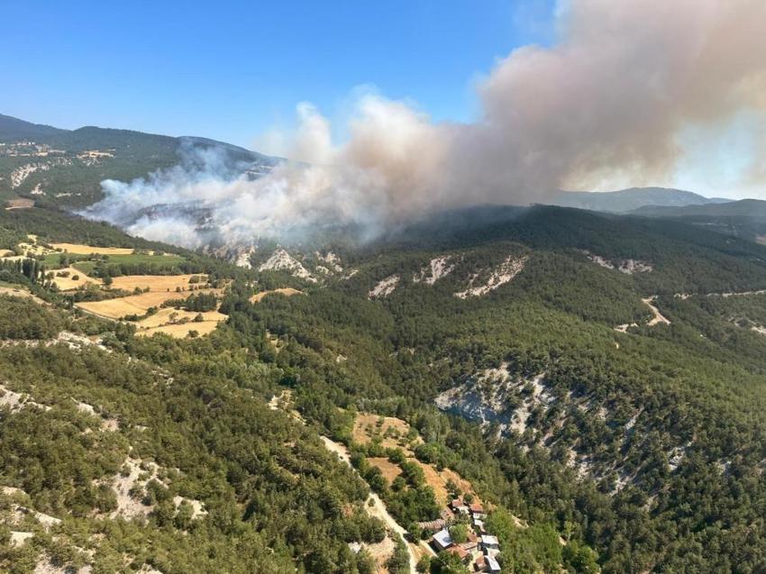 Bolu'da ormanlara giriş yasaklandı! İşte piknik yapılabilecek alanlar ve saatleri