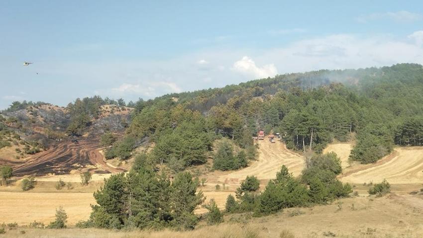 Bolu'da ormanlara giriş yasaklandı! İşte piknik yapılabilecek alanlar ve saatleri