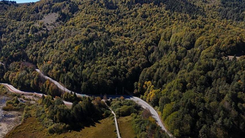 Bolu'da ormanlara giriş yasaklandı! İşte piknik yapılabilecek alanlar ve saatleri