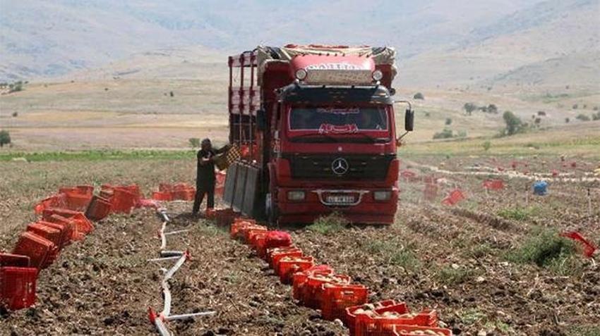 Sandıklı patatesinde tarihi rekoru: Geçen yıl 5 liraydı, bu yıl tarlada kapışılıyor! Üreticinin yüzü gülüyor
