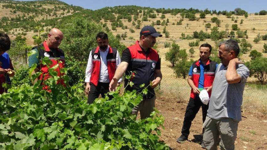 Tarımda yeni dönem başladı! Çiftçilerin işi kolaylaşacak: Telefonlara anlık uyarı gelecek