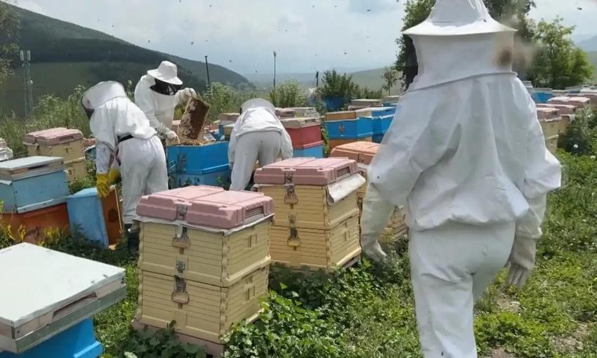 Ardahan'da 3'üncü üstlük uygulamasına geçildi: Ağustos'ta rekor bekleniyor