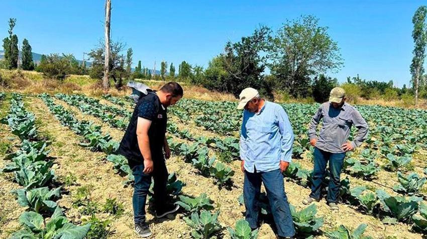 Afyonkarahisar'da ekipler tarlalarda zararlı avına çıktı