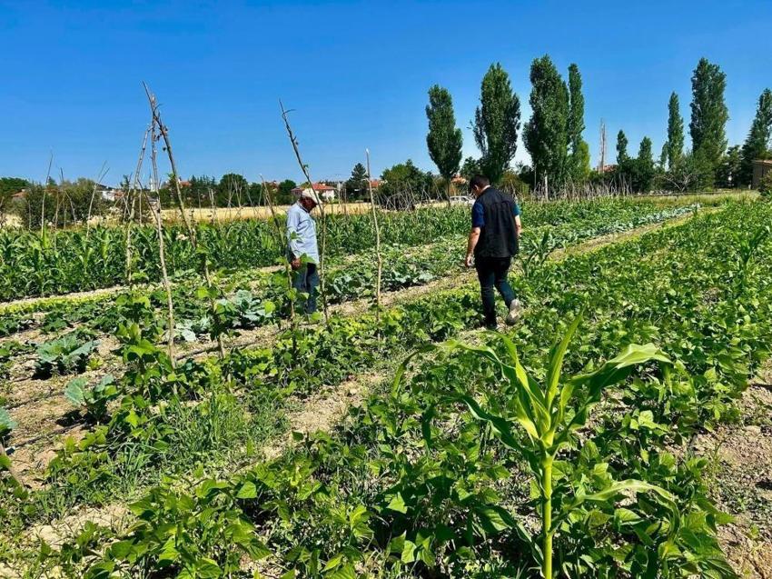 Afyonkarahisar'da ekipler tarlalarda zararlı avına çıktı