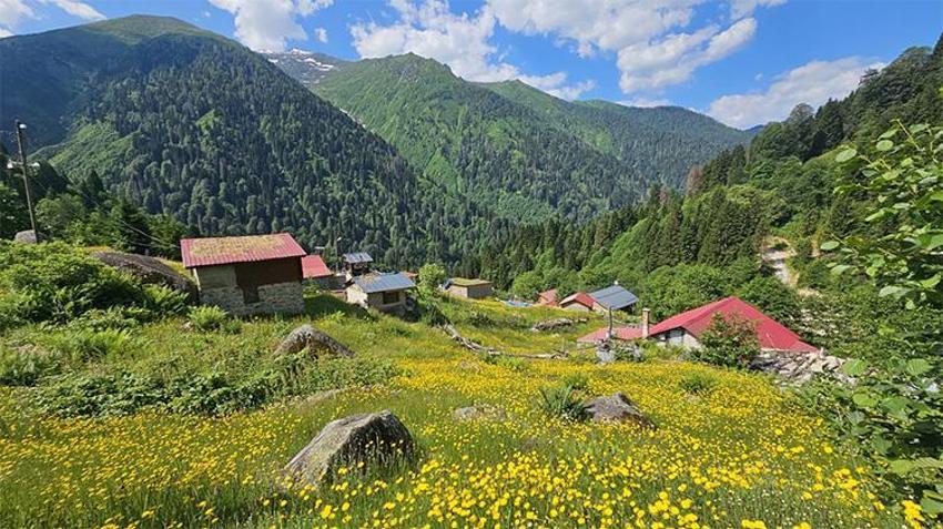 Yaylacılık sezonu başladı: Ayder Yaylası kendine hayran bırakıyor!