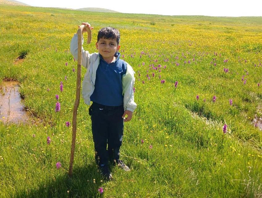 Bilmizit Yaylası'nın zirveleri çiçeklerle renklendi