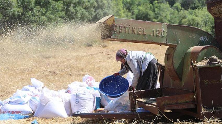 40 derece sıcak, dinmeyen toz: Hataylı üreticilerin kavurucu patoz mesaisi!