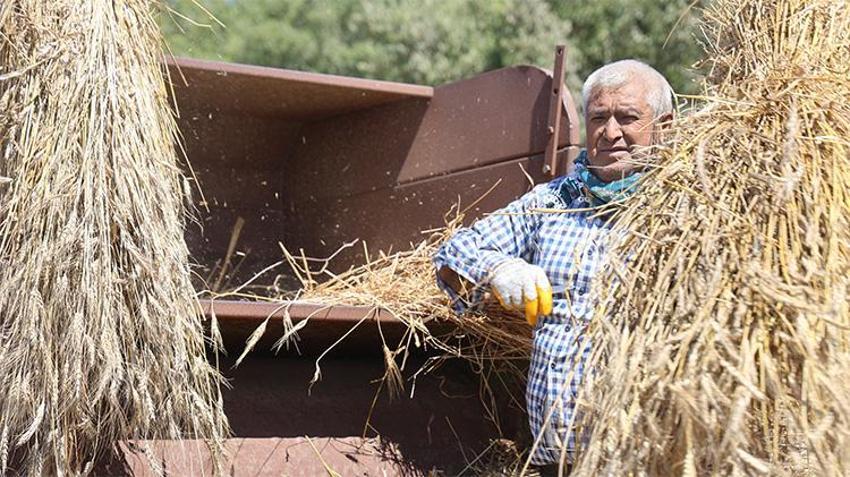 40 derece sıcak, dinmeyen toz: Hataylı üreticilerin kavurucu patoz mesaisi!