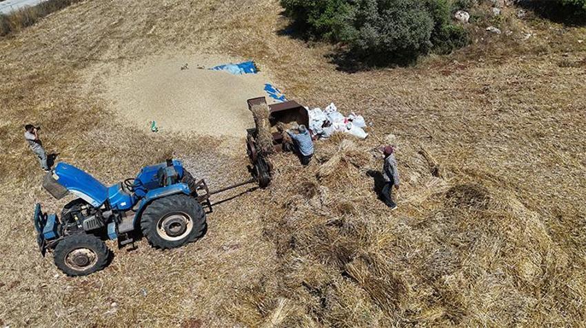 40 derece sıcak, dinmeyen toz: Hataylı üreticilerin kavurucu patoz mesaisi!