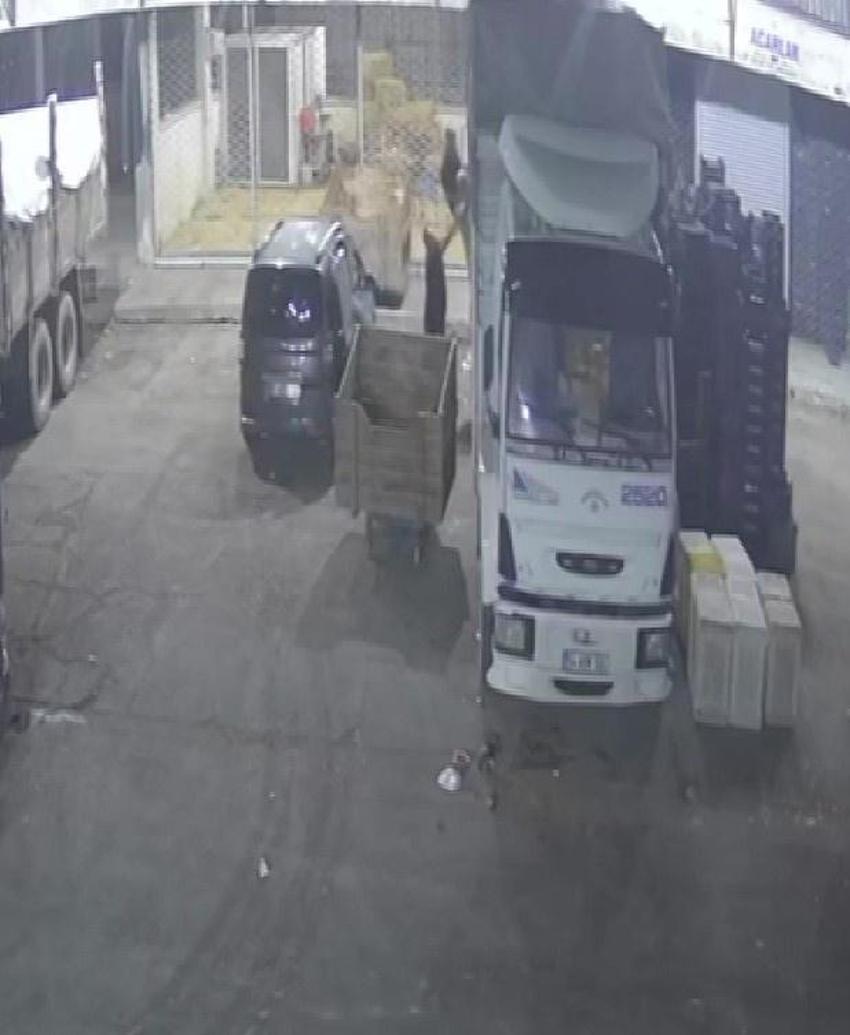 Kavun ve karpuz hırsızından utanmaz savunma: Çabuk satılıyor