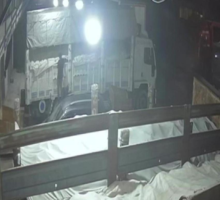 Kavun ve karpuz hırsızından utanmaz savunma: Çabuk satılıyor