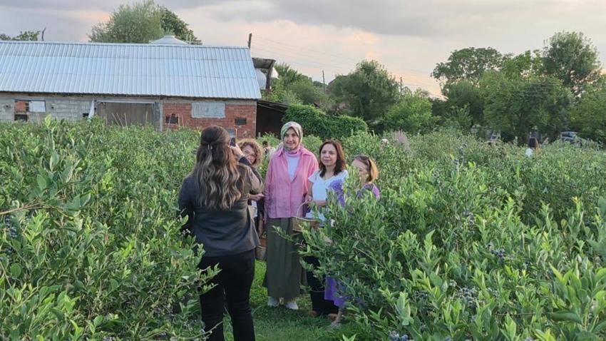Düzce'de üniversite öğrencileri kurdu: Her giren mutlu ayrılıyor
