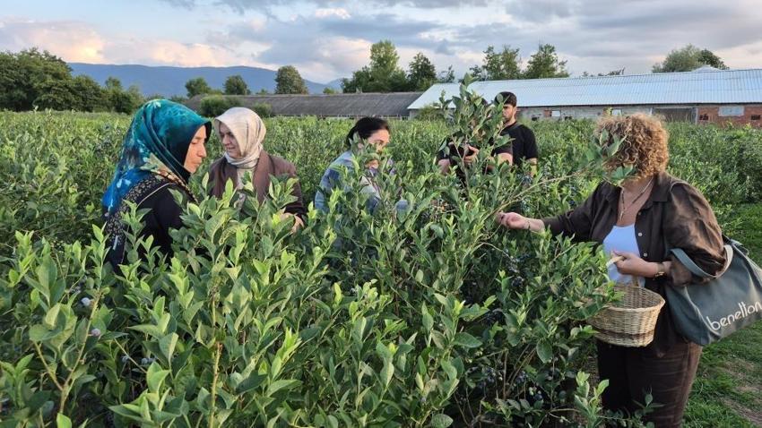 Düzce'de üniversite öğrencileri kurdu: Her giren mutlu ayrılıyor