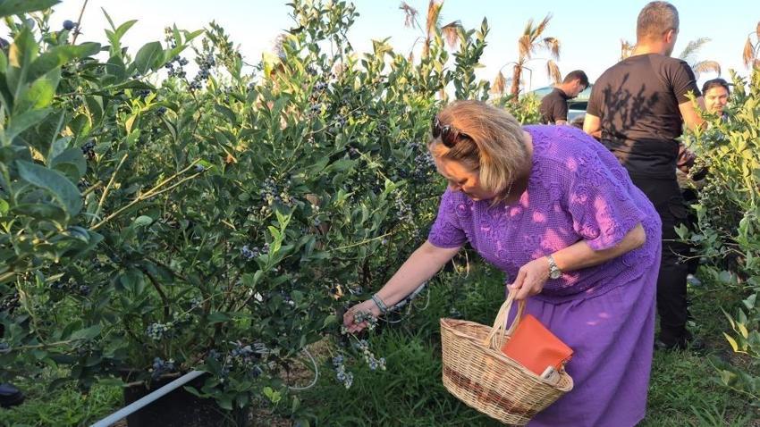 Düzce'de üniversite öğrencileri kurdu: Her giren mutlu ayrılıyor