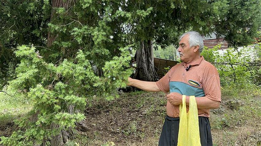 Doğadan bedava topluyor! 10 metrekarelik atölyesinde servet kazanıyor