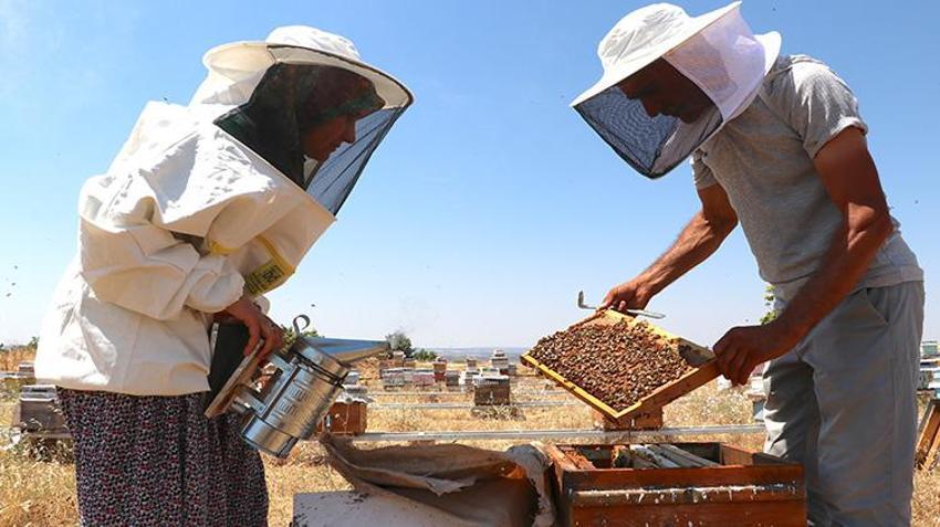 Hobi olarak başladı, servete dönüştürdü! Şimdi siparişlere yetişemiyor