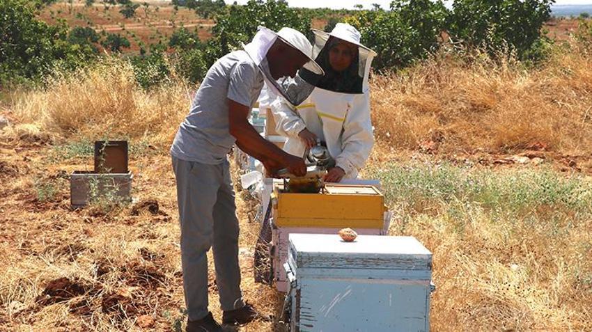 Hobi olarak başladı, servete dönüştürdü! Şimdi siparişlere yetişemiyor