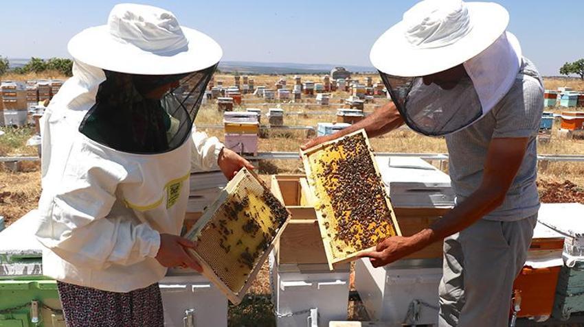 Hobi olarak başladı, servete dönüştürdü! Şimdi siparişlere yetişemiyor