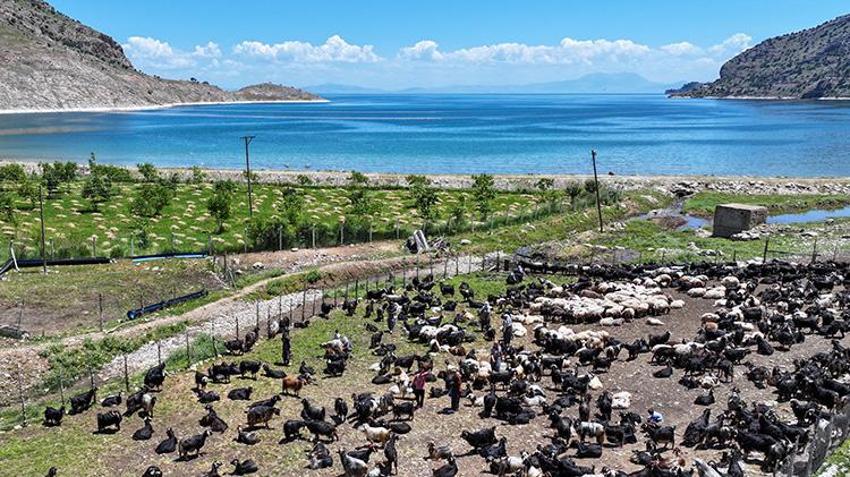 Van yaylalarında korkutan görüntü! Tonlarca yün doğaya atıldı, tehlike çok büyük: 'Hem yangını tetikliyor hem suyu zehirliyor!'