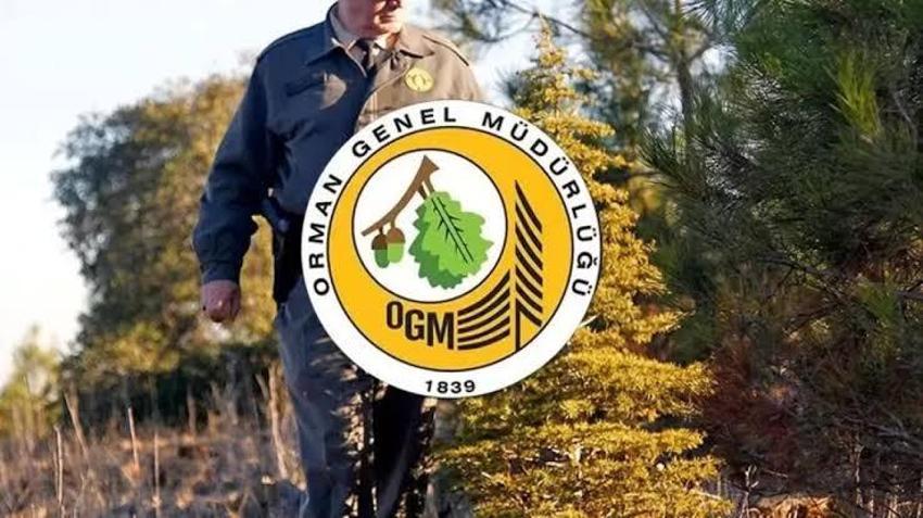 Tarım ve Orman Bakanlığı Personel Alımı 2026: Başvurular Ne Zaman? Kadro Dağılımı Belli Oldu mu? İşte Şartlar ve Son Dakika Gelişmeleri