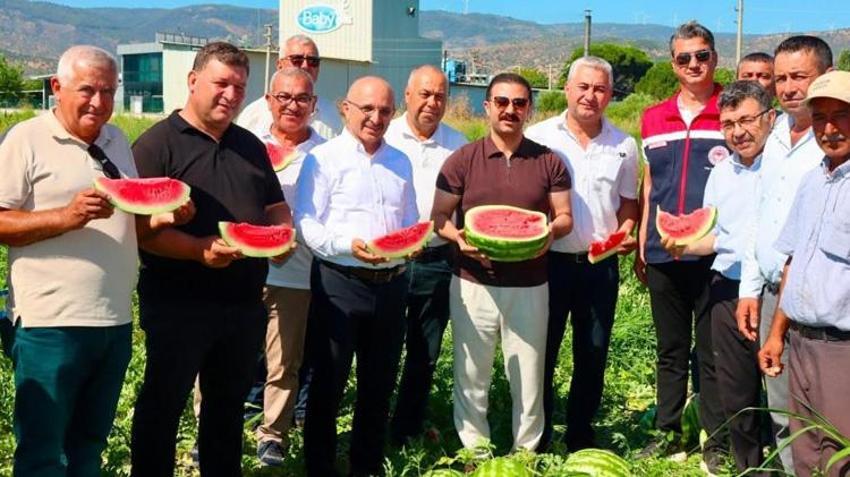 Aydın'ın tescilli lezzetinde ilk hasat yapıldı! Türkiye'nin dört bir yanından sipariş yağıyor