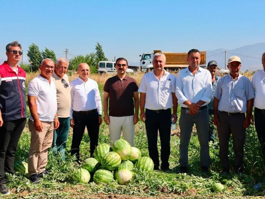 Aydın'ın tescilli lezzetinde ilk hasat yapıldı! Türkiye'nin dört bir yanından sipariş yağıyor