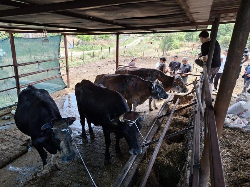Mağdur besiciye Manisa Büyükşehir'den anında destek!