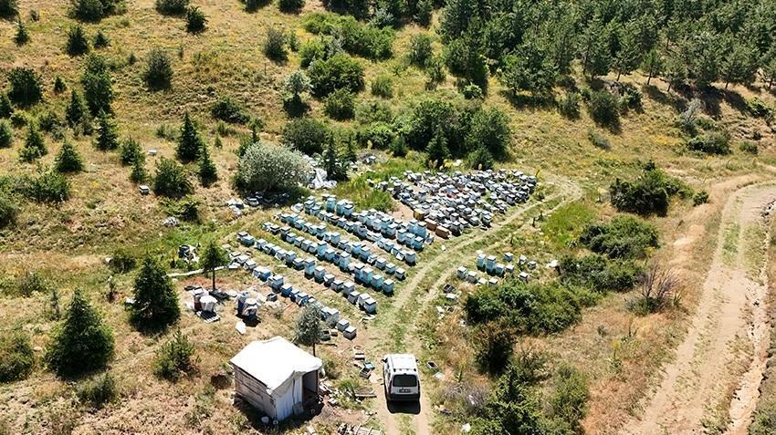 Sivas'ın yanı başında, potansiyeli duyan geliyor! Hiç bitmiyor: 1 kere yapıp tonlarca ürün alıyor