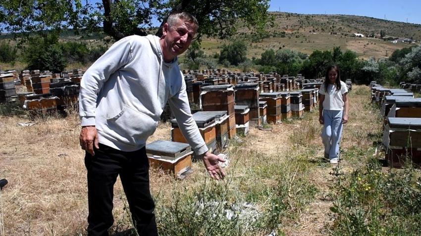 Sivas'ın yanı başında, potansiyeli duyan geliyor! Hiç bitmiyor: 1 kere yapıp tonlarca ürün alıyor