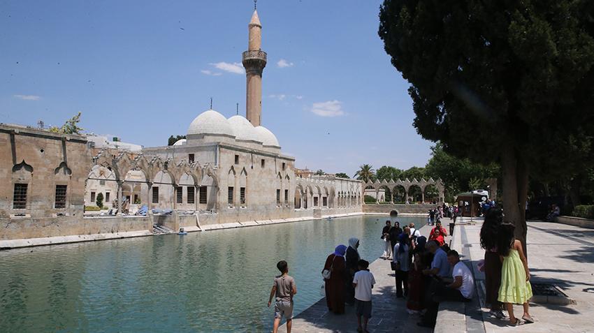 Şanlıurfa'da kabus başladı! Ne yaptılarsa olmadı, kimse adımını atmıyor