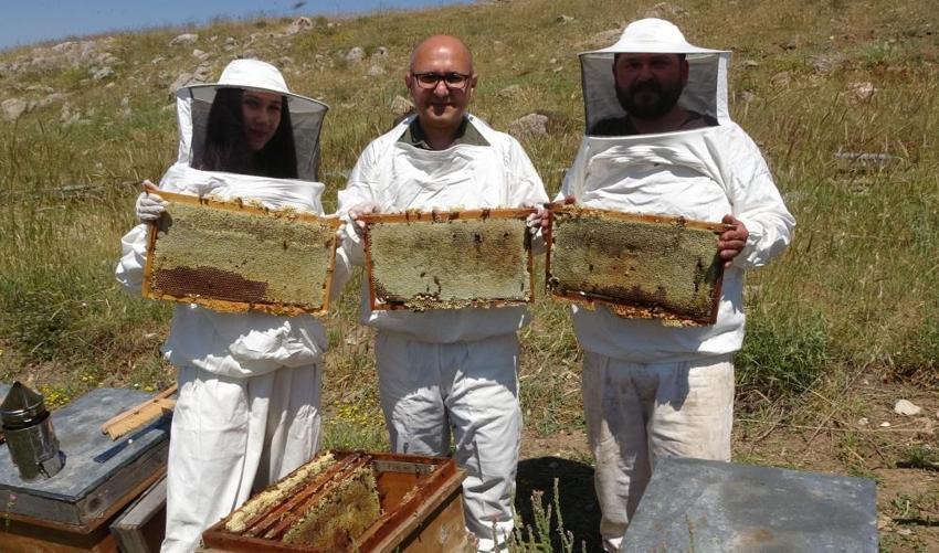 Toroslar'ın zirvesinde bal damlıyor: Dünya birincisi Eğriçayır balında son yılların en bereketli hasadı başladı!