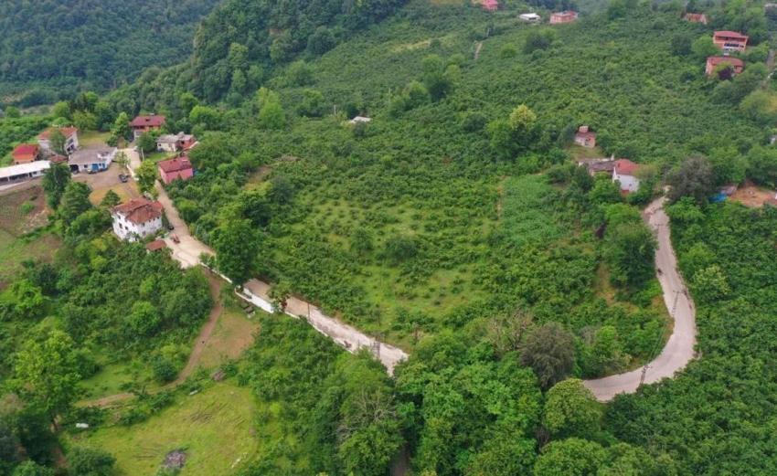 Ordu'da kırsalın çilesi bitiyor: Hanyanı Mahallesi beton yol çalışmalar başladı!