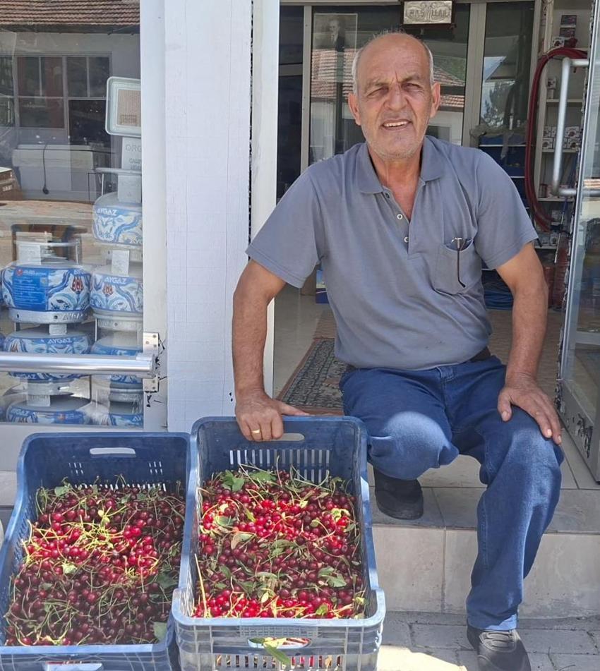 Hisarcık'ta vişne alımları başladı ama çiftçi kan ağlıyor: 40 TL yevmiyeyi bile kurtarmıyor, ürün dalında çürüyecek!