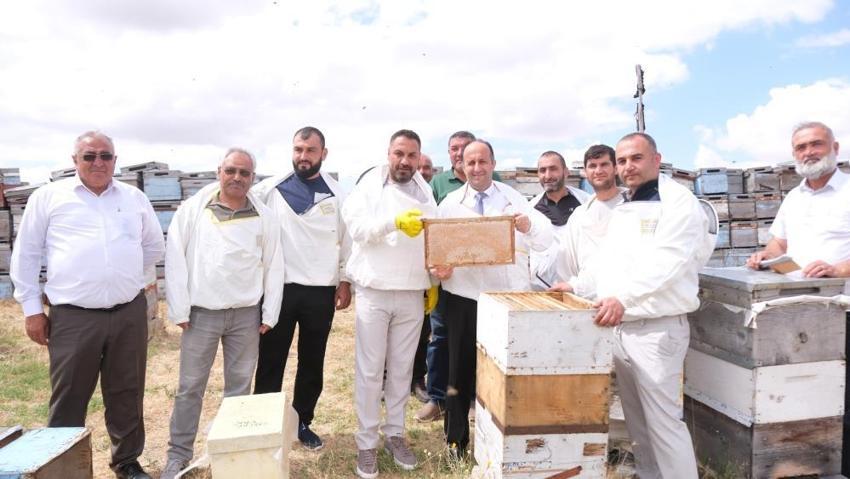 Yozgat Sorgun'da yılın ilk bal hasadı başladı! Altın sarısı petekler görücüye çıktı!