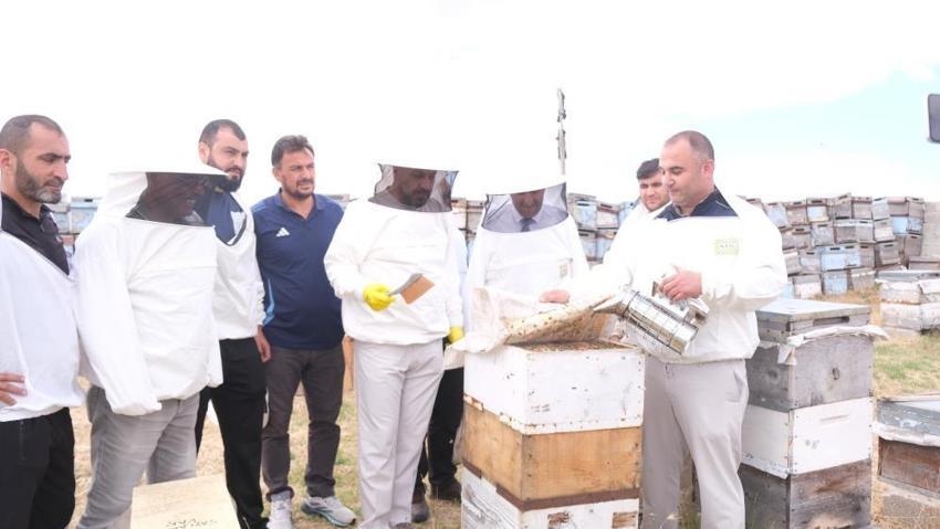 Yozgat Sorgun'da yılın ilk bal hasadı başladı! Altın sarısı petekler görücüye çıktı!