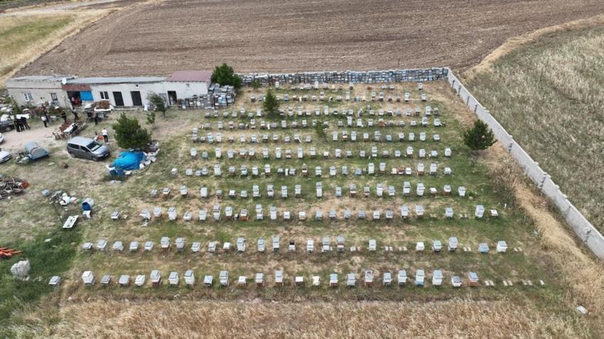 Yozgat Sorgun'da yılın ilk bal hasadı başladı! Altın sarısı petekler görücüye çıktı!