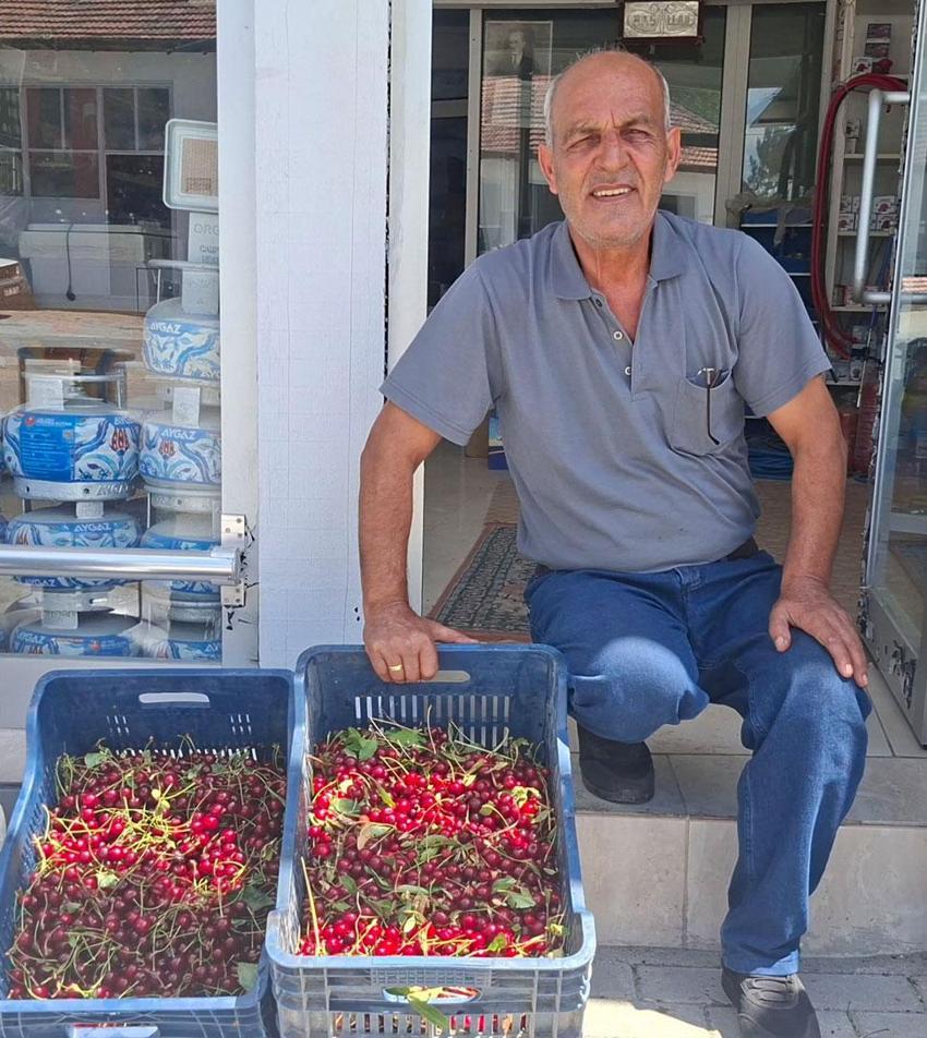 Hisarcık'ta vişne alımları başladı! İşte kilogram fiyatı