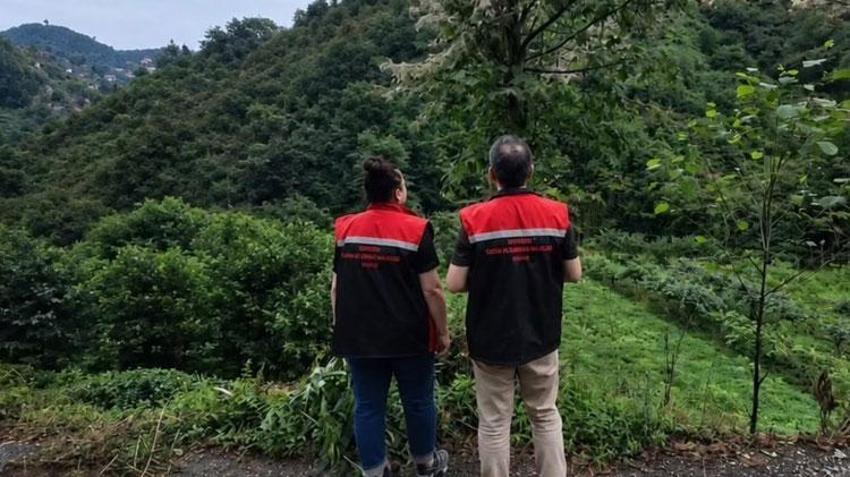 Rize'de mücadele başladı! Tarım alanlarını istila eden Amerikan Beyaz Kelebeği'ne karşı çalışma başladı