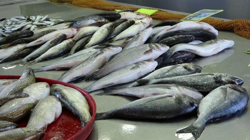 Ordu'nun iki ilçesi 28 milyon Euro gelir elde etti: Vietnam'a bile gönderiliyor