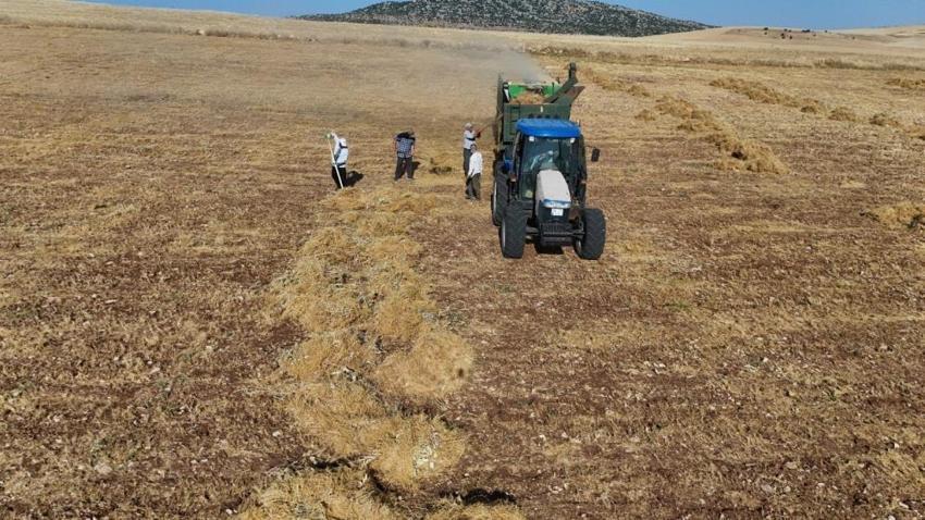 Diyarbakır'da 40 dereceyi aşan sıcakta durmuyorlar! Mesaileri sabah 03.00'te başlayıp geceye kadar sürüyor