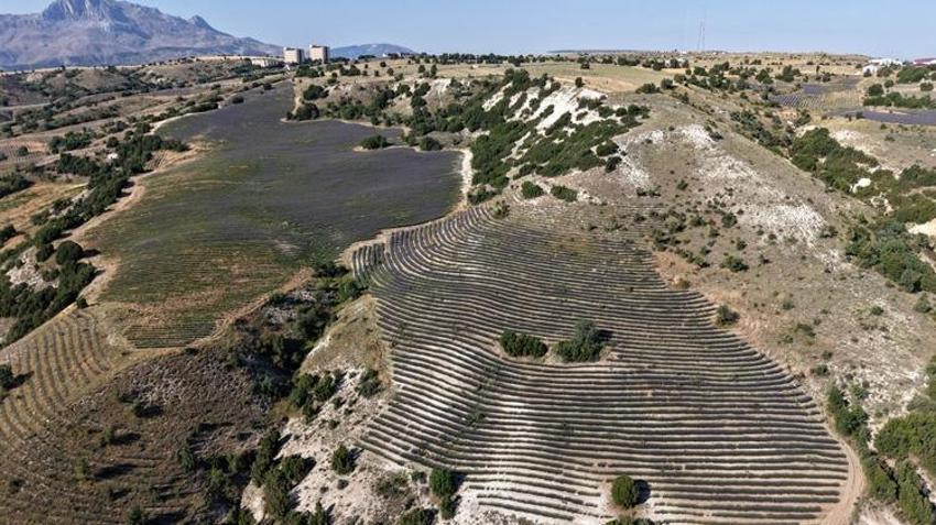 Turist akınına uğruyor! Yurt dışı satışları azalınca yeni yöntem buldular: Artık böyle satılacak