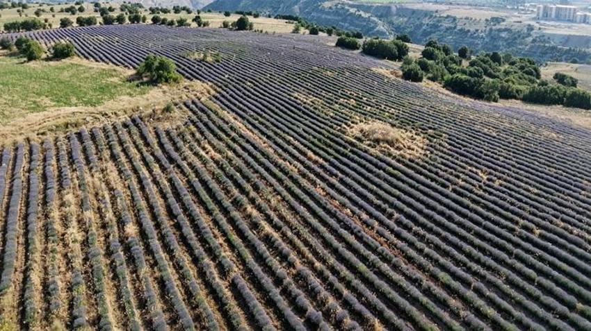 Turist akınına uğruyor! Yurt dışı satışları azalınca yeni yöntem buldular: Artık böyle satılacak