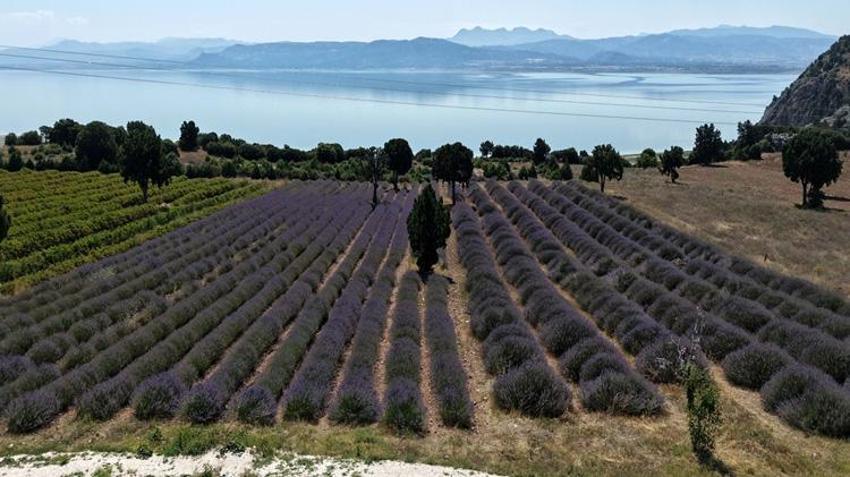 Turist akınına uğruyor! Yurt dışı satışları azalınca yeni yöntem buldular: Artık böyle satılacak