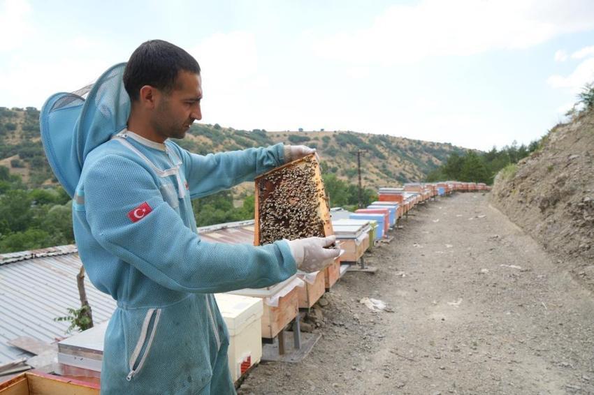 Ankara'da üretiliyor! Sırrı 1200 endemik bitkide saklı: Türkiye'nin dört bir yanından sipariş yağıyor
