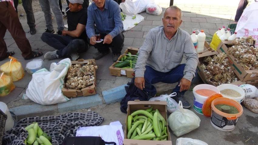Acur hasadı Batman'da başladı: Kilosu 100 liradan satışa sunuluyor