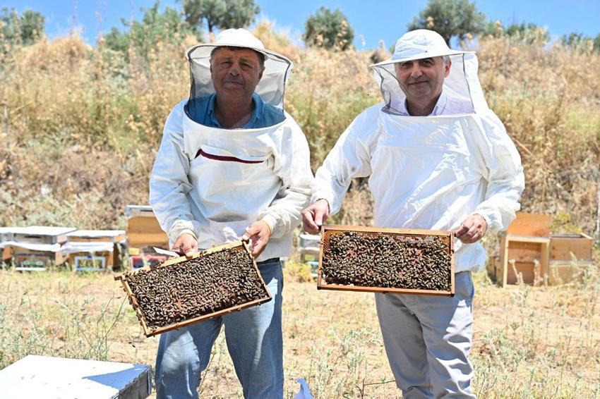 Manisa'da üreticilere yüzde 100 hibe desteği! Üretilen ballar öğrencilere hediye ediliyor