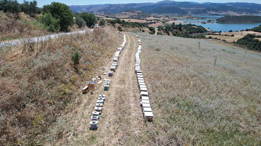 Manisa'da harekete geçildi! Üreticiye büyük destek: Yüzde 100 hibeli